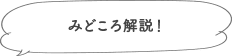 みどころ解説！