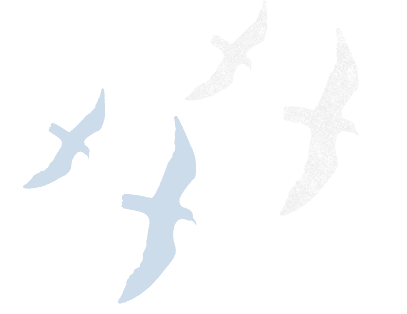 鳥