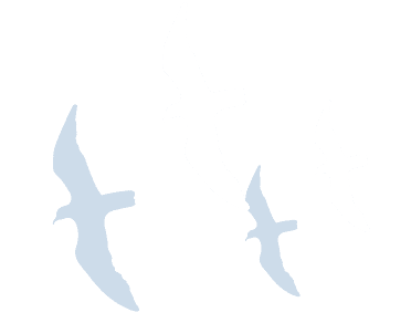 鳥