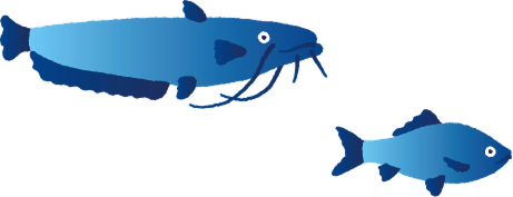 魚のイラスト