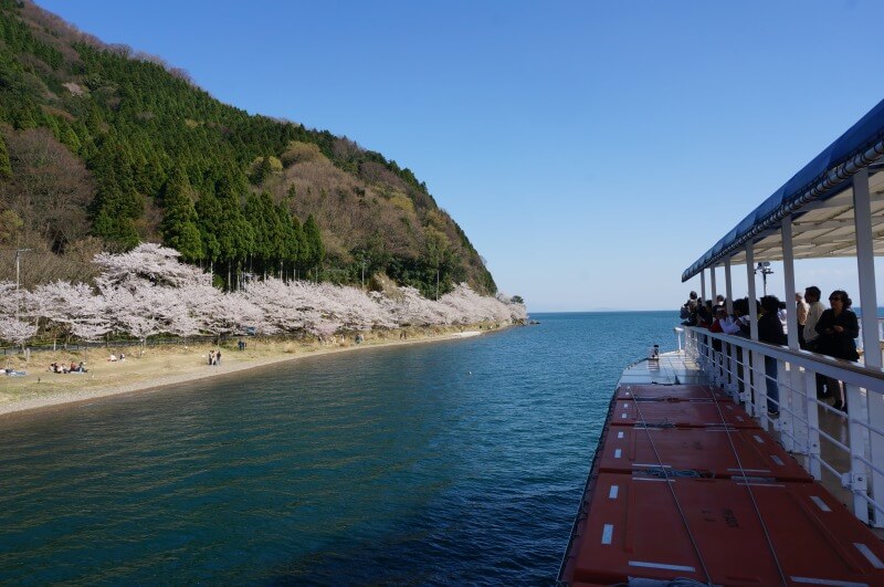 船上から海津大崎の桜を見る