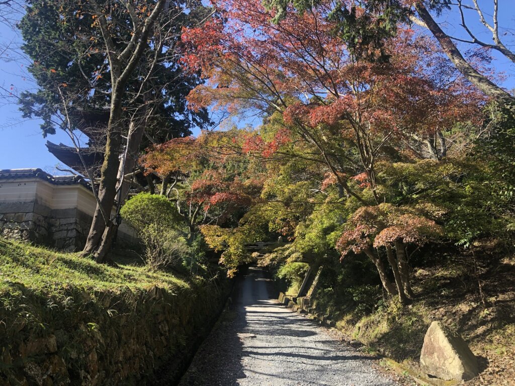 三井寺　紅葉