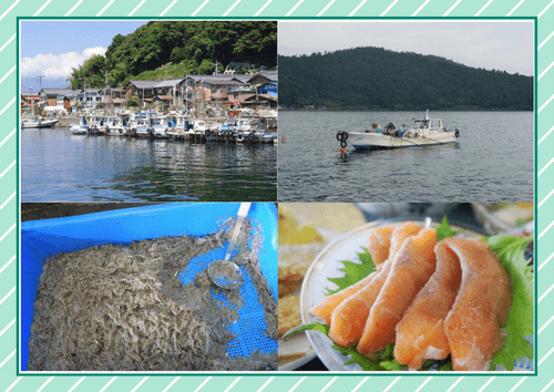 沖島ウロリ漁とビワマス画像
