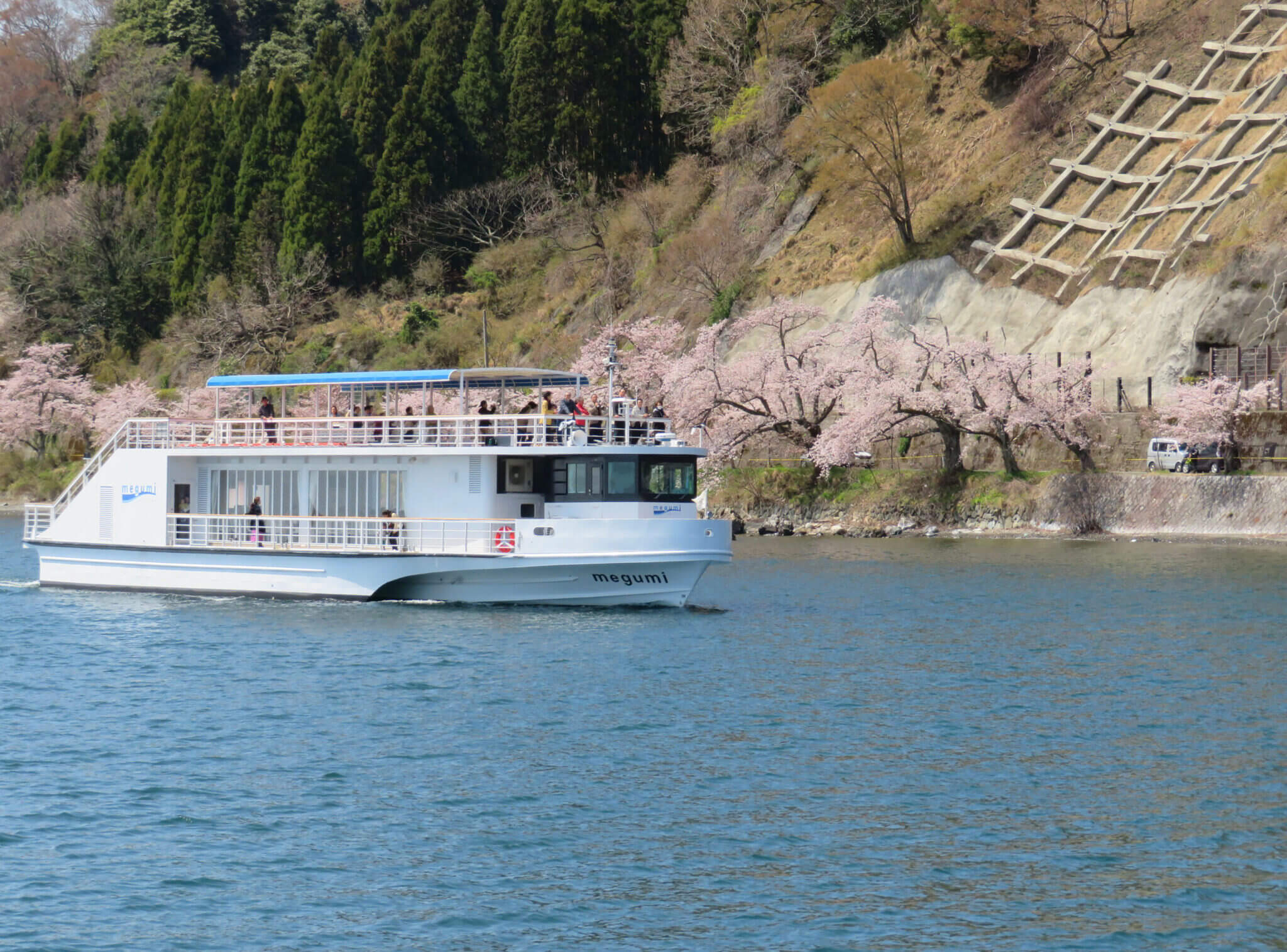 海津大崎桜クルーズ 2024」を運航します - 新着情報｜琵琶湖汽船